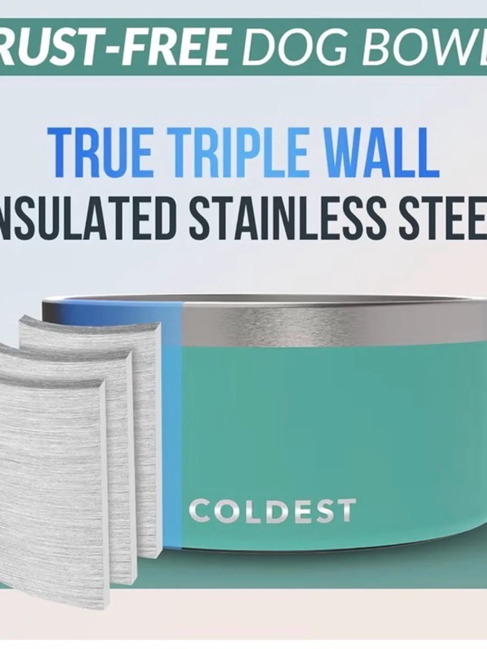 Insulated Dog Bowl in Teal - Non-Slip Stainless Rim